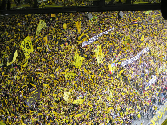 Photo: View on fans of the Borussia Dortmund soccer club, a sea of black and yellow