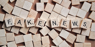 Photo: The words "fake news" are written in black capital letters on small wooden tiles, each letter is on a separate tile. Background: Blank wooden tiles.