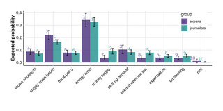 Diagram: Bar chart comparing how experts and journalists attribute causes of inflation based on expected probabilities.